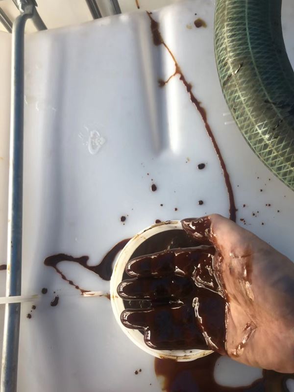 热气腾腾的新甘蔗糖蜜出炉